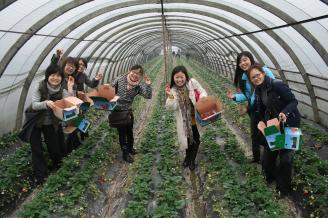 005.2009年，学校全体女教职工来到市郊区草莓种植基地踏青。.JPG